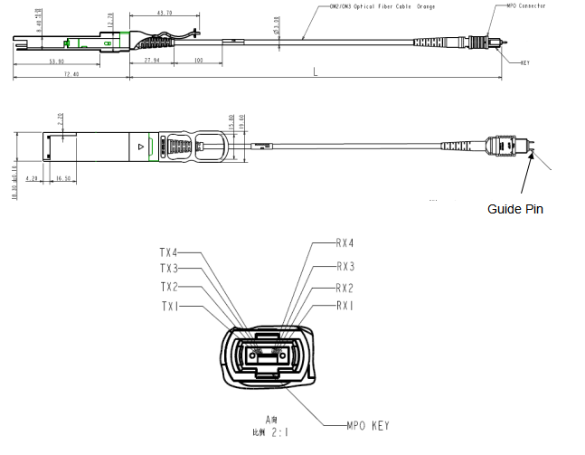 FTCQ 4X SR4 M1 xxx